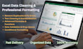 do accurate and fast excel data cleaning and formatting