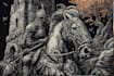 create dark art medieval detailed hand drawn illustration