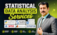 do statistical data analysis, spss data analysis, stata, r, nvivo, sas, matlab