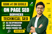 do on page and technical SEO, website audit and search console indexing