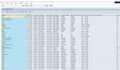 do the sap development and bug fix support