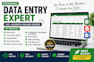 excel data entry, data cleaning, formulas and typing work