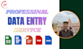 do data entry, copypaste, cleaning and pivot table dashboard