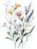 draw botanical food illustration art