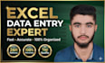 do fast and accurate data entry, copy paste, and excel data