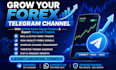 run forex telegram with 900k trader, crypto telegram promotion, telegram ads