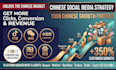 be your chinese social media expert to boost customer conversion