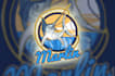 do professional custom amazing fish, shark logo