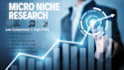 find 5 low competition micro niche ideas for your website