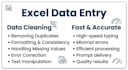 do excel data entry, pivot table, vlookup and data analysis