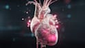 draw detailed medical illustrations