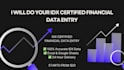 excel financial data entry by idx certified