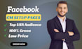 provide you  facebook content monetization pages