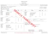 clean design college transcript, university and high school transcripts, diploma