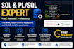 write, fix and optimize sql and pl sql queries for you