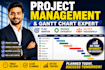 assist in execute your project as a project manager