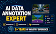 do professional ai data annotation