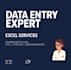 do excel data entry and vlookup