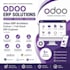 develop customize and integrate odoo erp using python