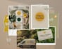 create a bespoke logo design for your brand or company