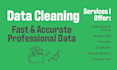 clean and format excel data