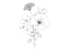 create botanical line art illustration, flower  illustration