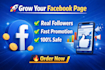 do facebook page advertising