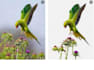 enhance image and more for you
