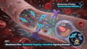 create ai powered medical 3d animation 3d anatomy visualization explainer video