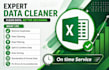 top notch data entry and data cleaning expert