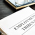 give employment law advice to businesses