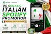 do spotify music promotion in italy