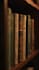 write a professional book summary and analysis