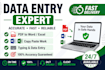 do fast data entry, typing, copy paste and PDF to word excel
