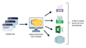 scrape any website and automate data extraction using python
