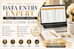 do accurate data entry virtual assitant task