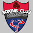 design a high quality boxing mascot logo