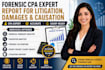 forensic CPA expert report for litigation, damages and causation