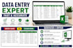 do fast data entry, excel formatting and cleaning