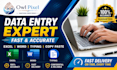 fast data entry, typing, PDF to word, excel work