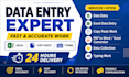 do data entry, copy paste, excel data entry and web research