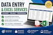 do data entry, data cleaning and PDF to excel tasks