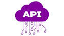 develop a professional  API with clean architecture