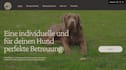 build a website for you