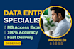 do professional python data cleaning and excel automation