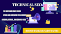 provide professional technical SEO  and fix website issues