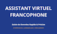 be your french virtual assistant for data entry, excel and admin tasks