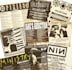 design professional educational posters
