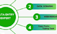 do professional copywriting and accurate data entry