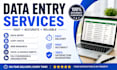 offer data entry services